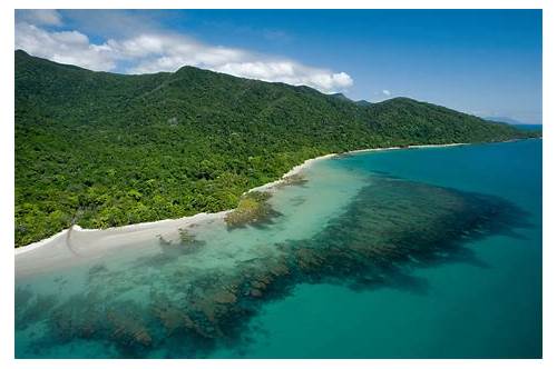 Cape Tribulation
