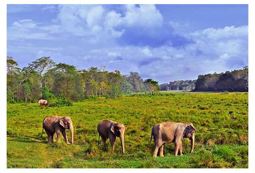 Chitwan National Park