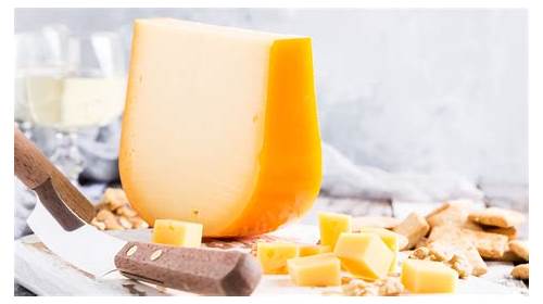 Gouda