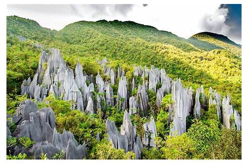 Gunung Mulu National Park