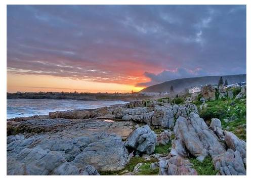 Hermanus