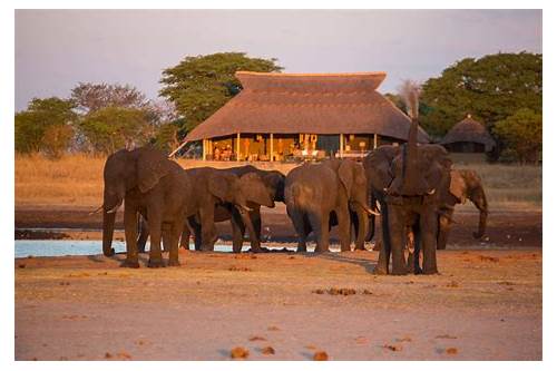 Hwange National Park