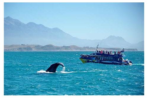 Kaikoura