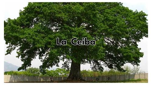 La Ceiba