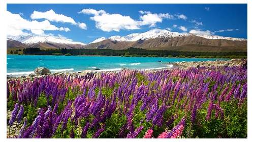 Lake Tekapo