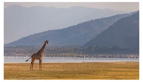 Manyara Region