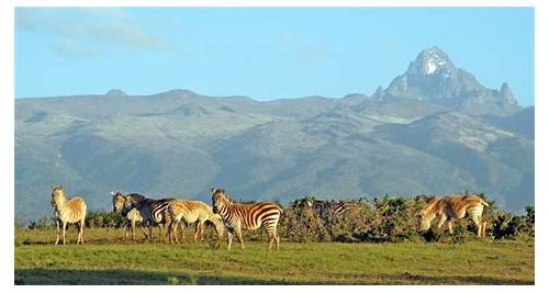Mount Kenya National Park