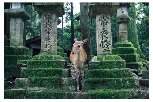 Nara Prefecture