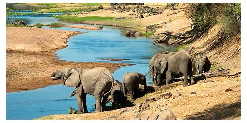 Ruaha National Park